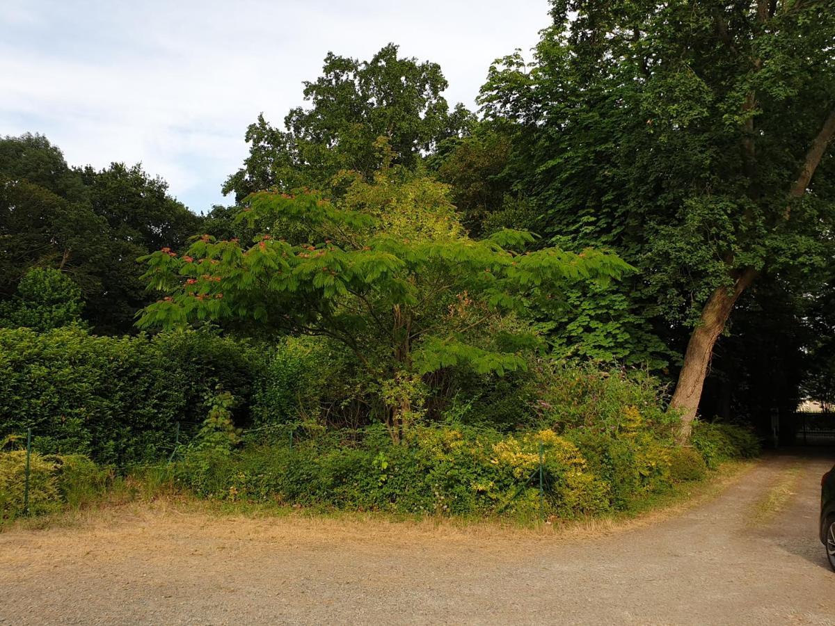 Logis Relais Des Cailleres 3* Saint Pavace